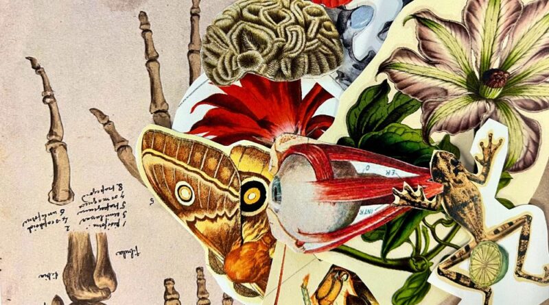 Fotografia d'un collage de l'espai de mediació del CCCB