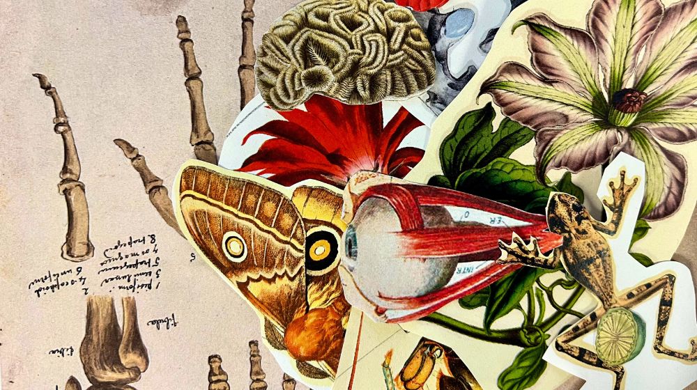 Fotografia d'un collage de l'espai de mediació del CCCB