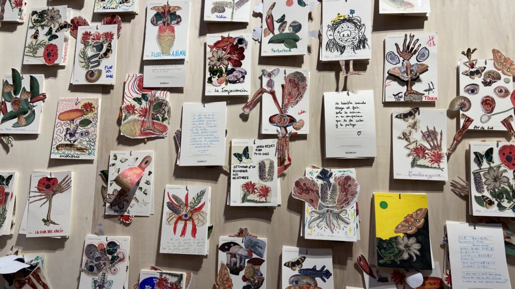 Imagen que muestra diversos collages de visitantes de la colección