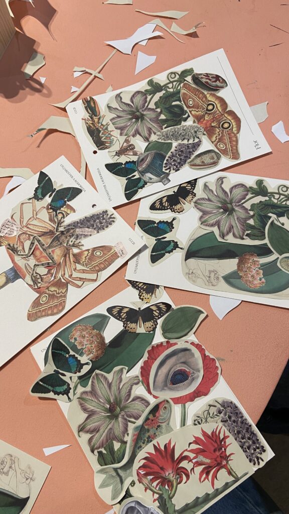 Imagen de collage propio